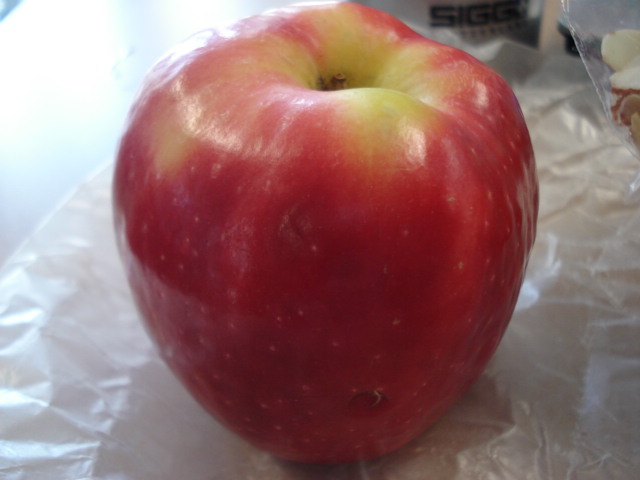 dsc06206.JPG