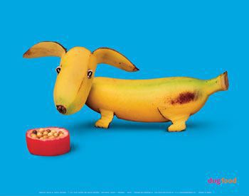 veggie-dog.jpg