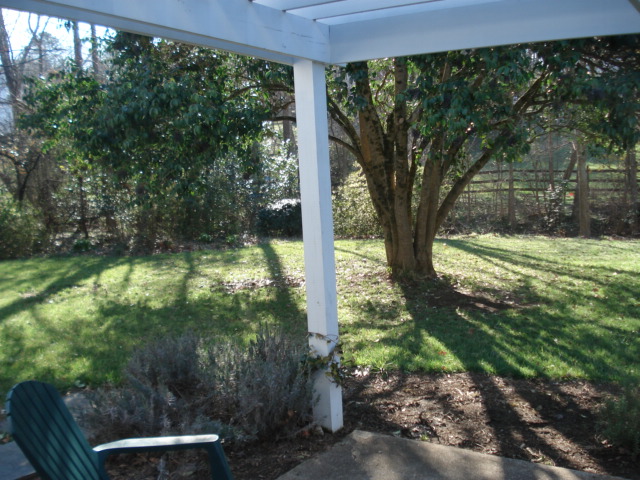 dsc06544.JPG