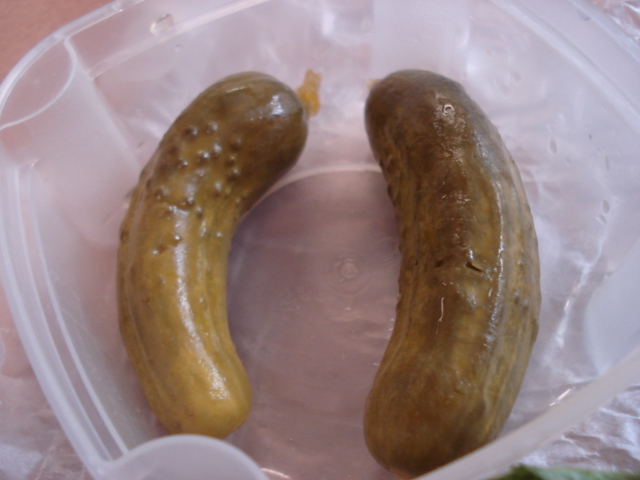 dsc07913.JPG