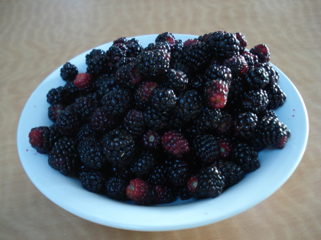 dsc08843.JPG