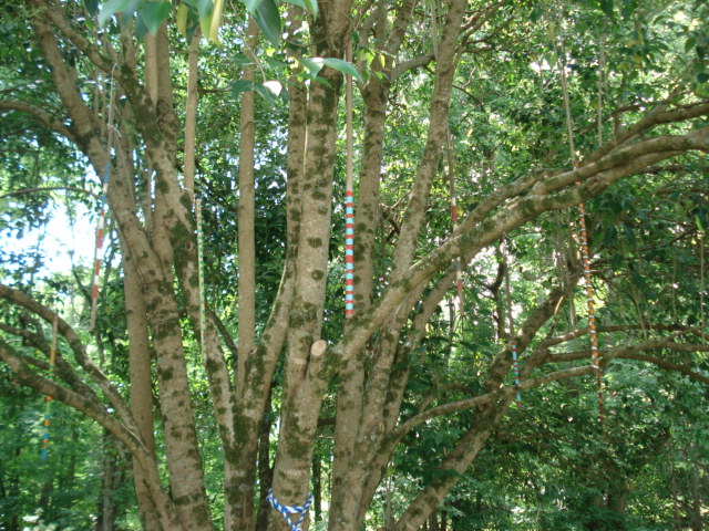 dsc00152.JPG