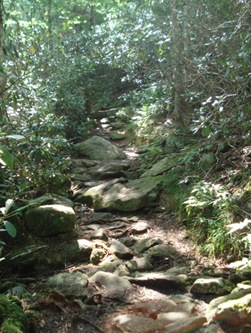 DSC02697