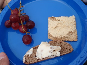 DSC04193