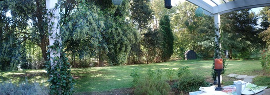 Yard