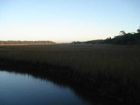DSC07653