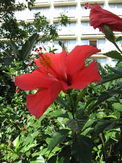 IMG_2983 (800x600)