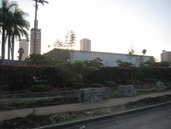 IMG_3041 (640x480)