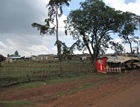 IMG_3274 (640x480)