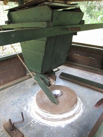 IMG_3292 (640x480)