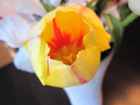 IMG_5126 (800x600)