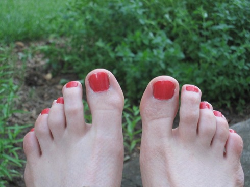 IMG_5286 (1024x768)