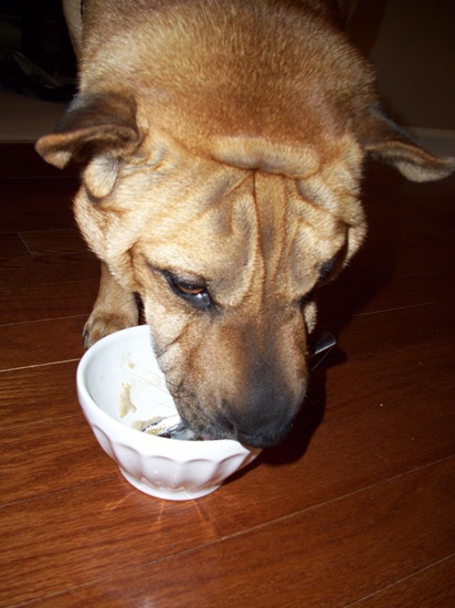 Gilbert Breakfast