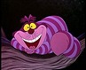 Cheshire