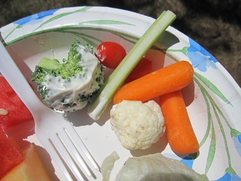 IMG_1185 (640x480)