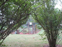 IMG_0001 (640x480)