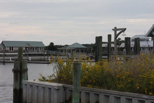 IMG_5260 (640x427)