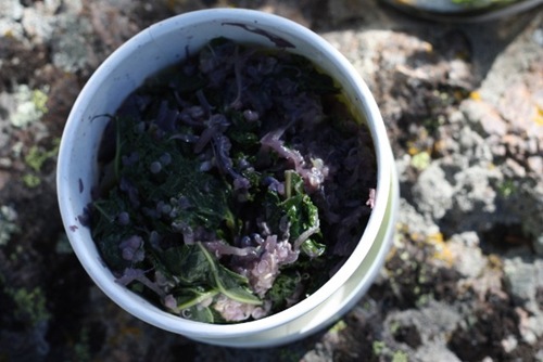 IMG_5800 (640x427)