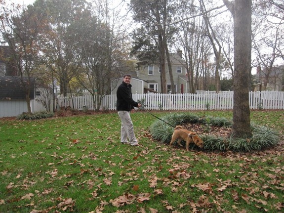IMG_0002 (640x480)