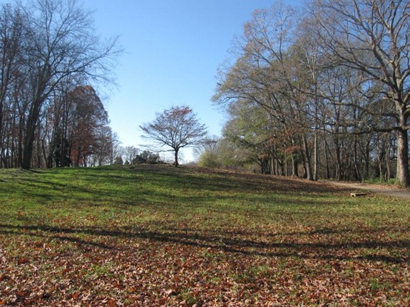 IMG_0010 (640x480)