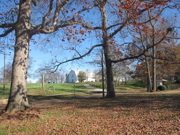IMG_0011 (640x480) (2)
