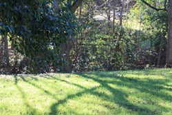 IMG_9255 (640x427)