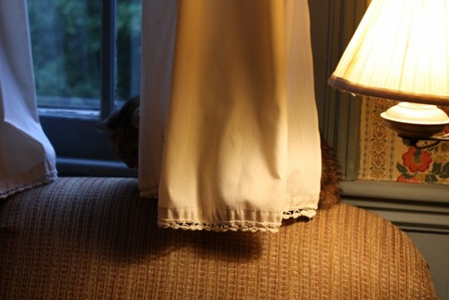 IMG_0330 (640x427)