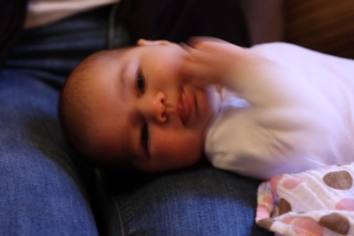 IMG_0335 (640x427)