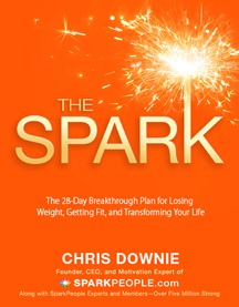 TheSparkCover