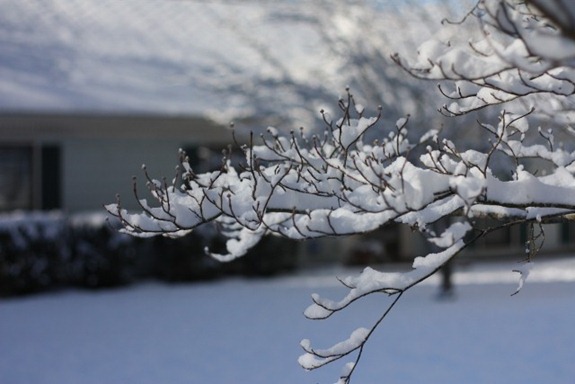 IMG_5744 (640x427)