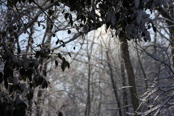 IMG_5762 (640x427)