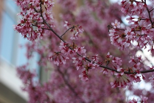 IMG_8390 (640x427) (2)