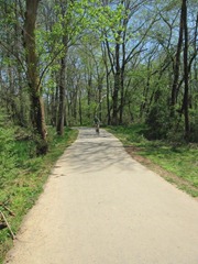 IMG_0020 (480x640)