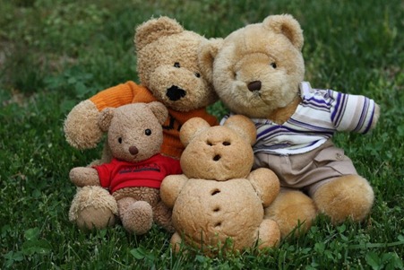 Bearz