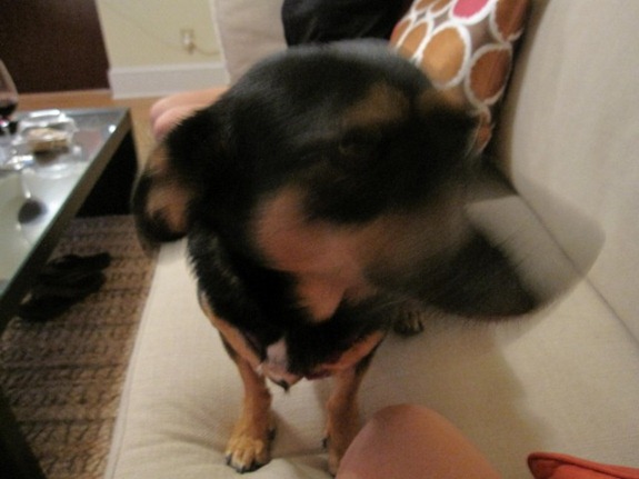 IMG_0181 (640x480) (2)
