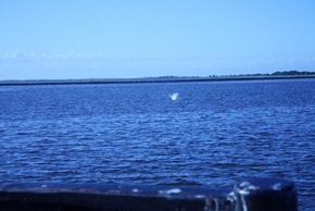 IMG_6319 (640x427)