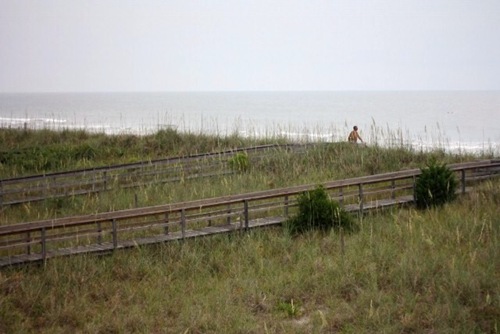IMG_7016 (640x427)