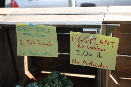 IMG_7555 (640x427)
