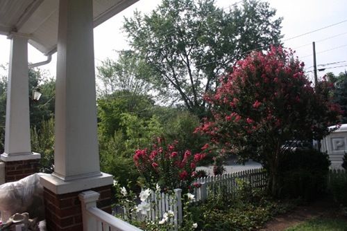 IMG_8328 (640x427) (3)