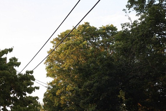 IMG_8508 (640x427)
