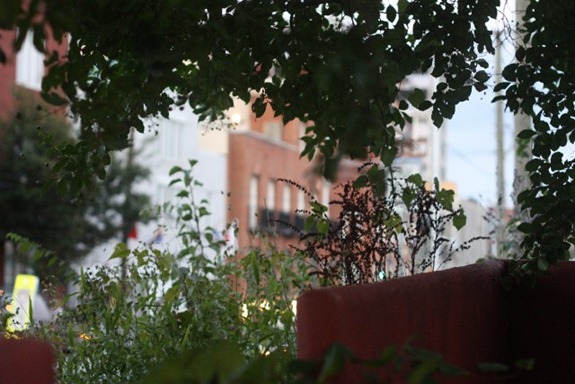 IMG_0698 (640x427) (2)