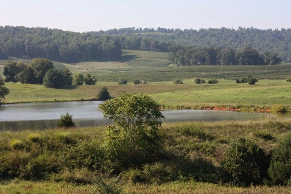 IMG_1798 (640x427) (2)