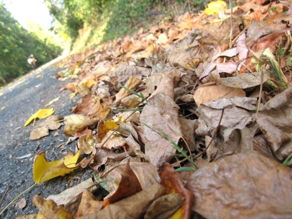 IMG_0714 (640x480)