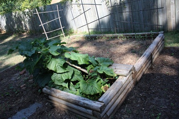 IMG_2041 (640x427) (2)