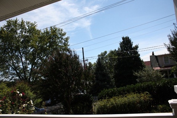 IMG_3112 (640x427) (2)