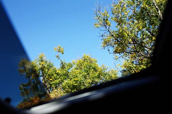 IMG_7957
