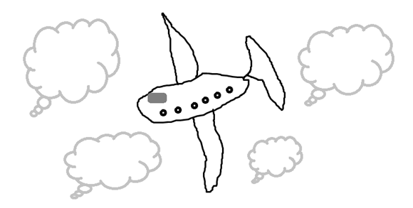 Flight