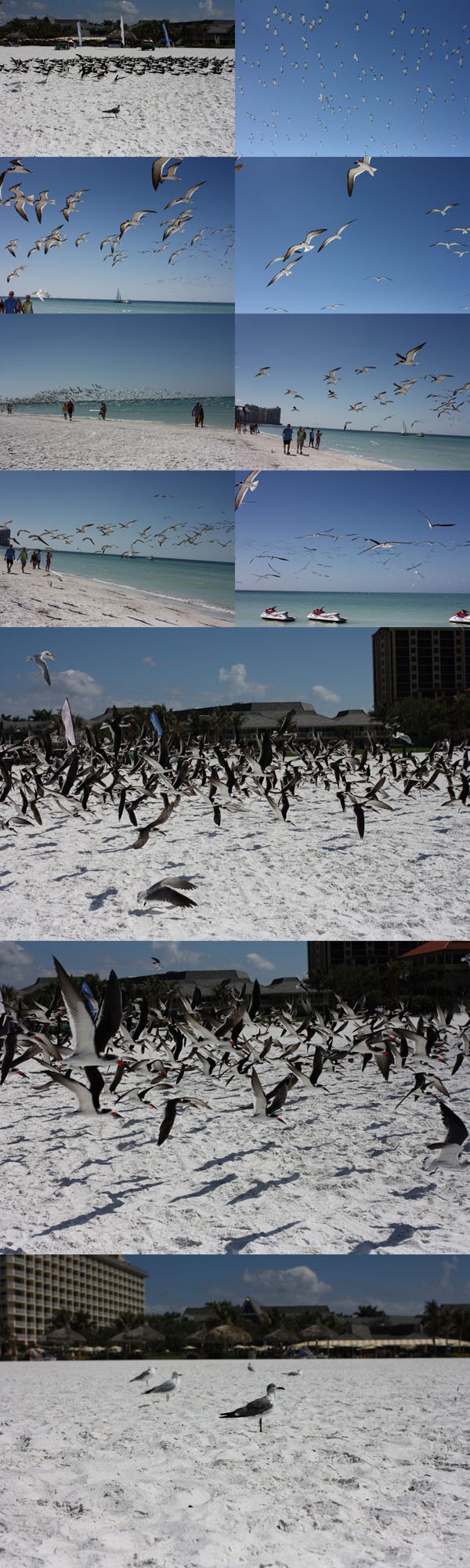 2011-02-27 002Blog