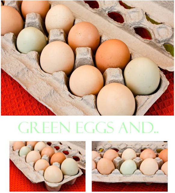 Green eggsBlog
