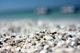 IMG_2640Blog